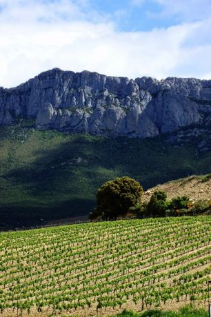 Landschap La Rioja Landschap La Rioja